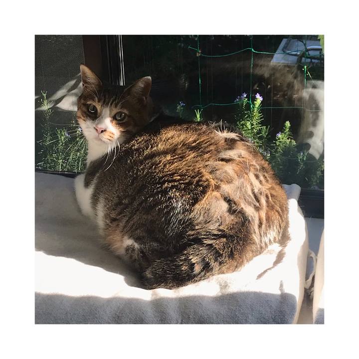 28462f15 ed4a 4210 a66b 5287213f5c55 1663578133240