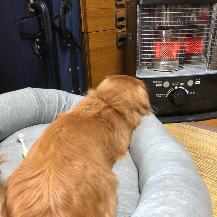 284654a2 ff08 4ace bfd7 d3fb36b8ddf2 1511068911993