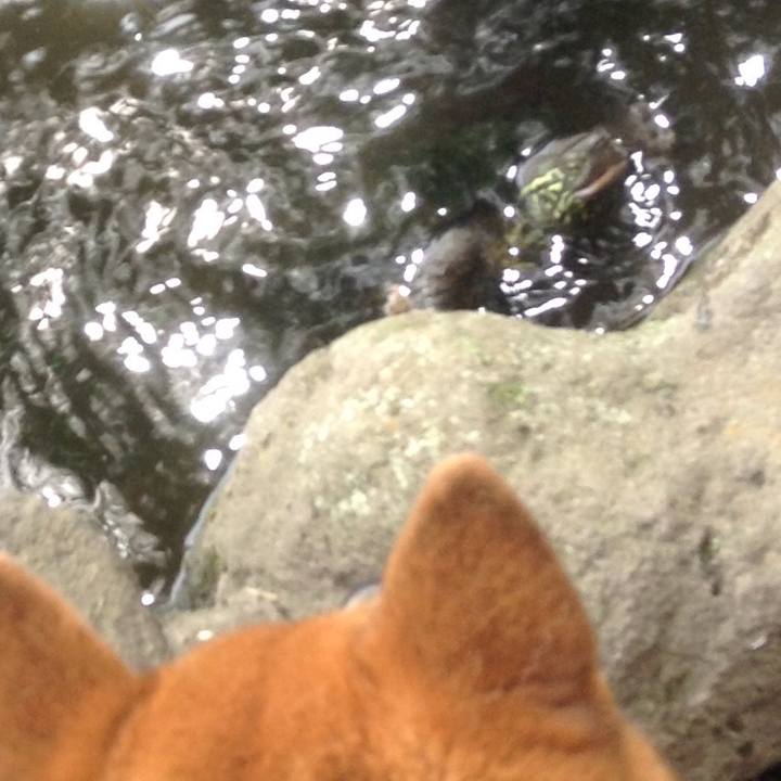 28465962 dab7 4538 9b38 82fdad29535d 1530708558291