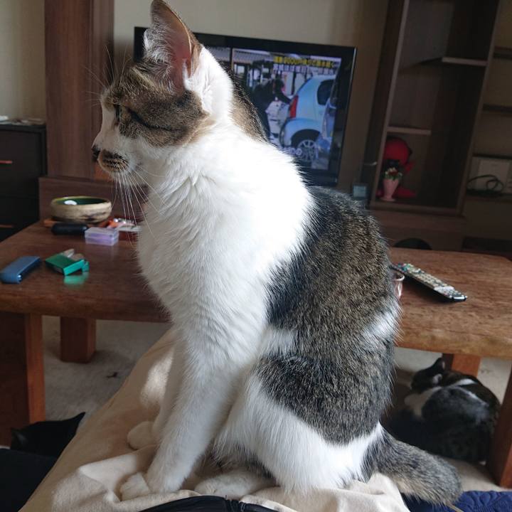 28466242 07d0 435e a929 5524dc53640b 1647831188805