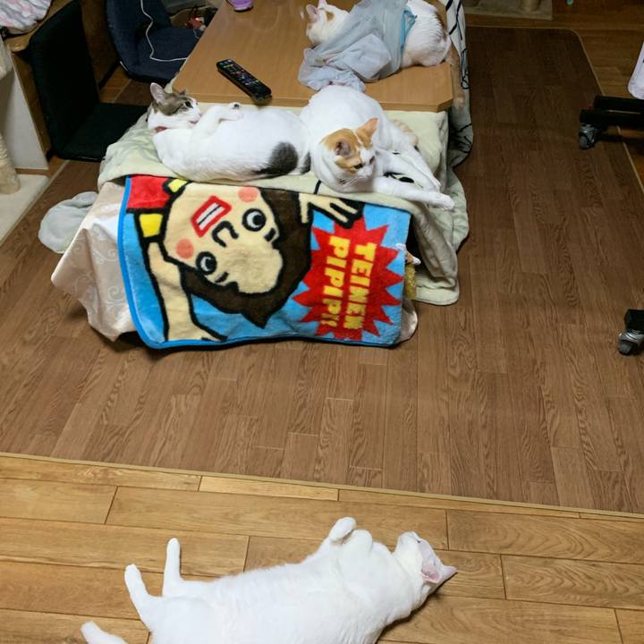 28466899 1bd0 4f45 9f6d 0dd9c89327c1 1573736238615