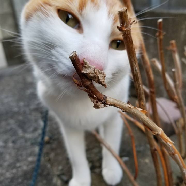 28468844 127e 4268 96e8 53673a74bcbc 1515395641634