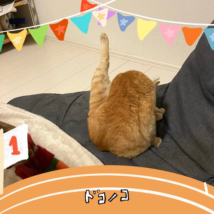 2846cf12 97c9 44f3 b8ec 0a81278d9dbe 1761477097452