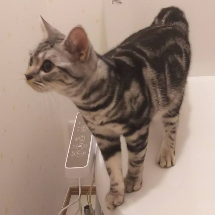 2846cf91 6b4d 4dc8 8df7 71dd686d3e81 1539259318768