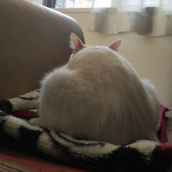 2846d187 f874 4fe0 b28a 4336faccf1a8 1635457709613