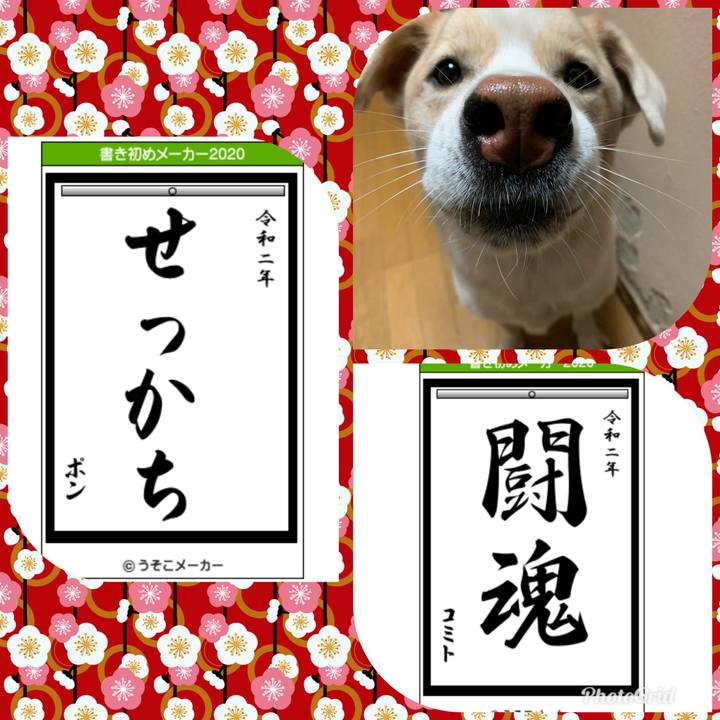 2846e10d 137a 4582 add3 ee0f34a21240 1577886312570