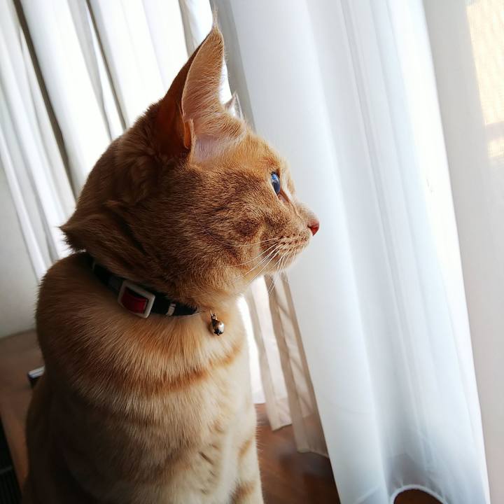 2846e5de e172 44bc b728 ace787ce2e67 1588148786547