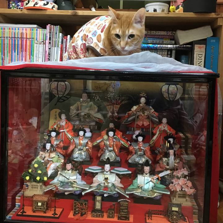 28473dd6 6030 4d4b 90bc f4dac5fa0658 1520029182197