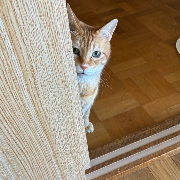 284743b6 60c2 4b7a 9426 289c9ddc7a70 1754890579516