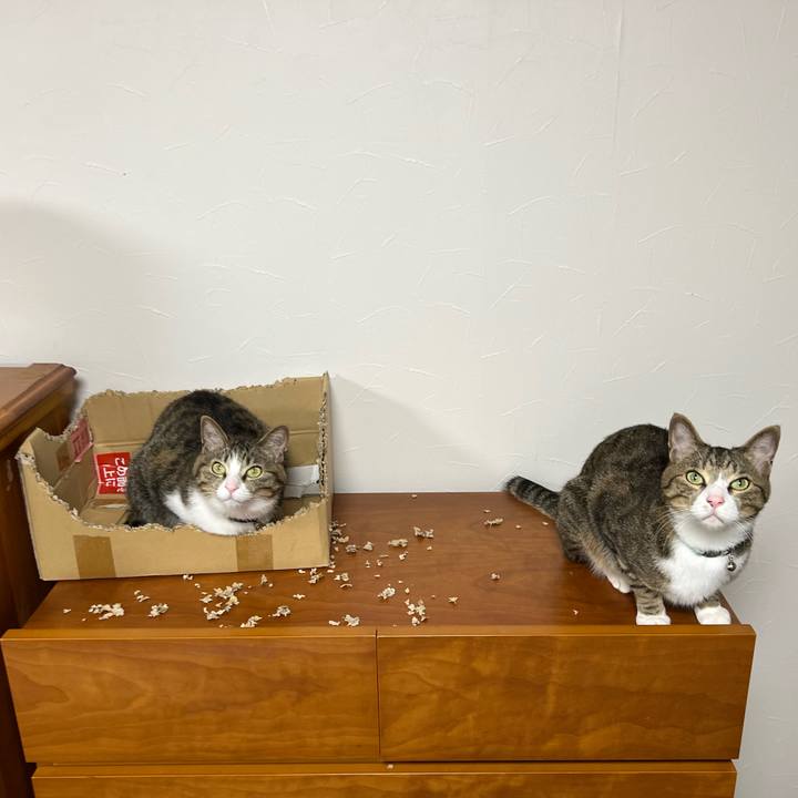 284765a2 d8dd 4a16 a811 43d1ebf932c7 1749889245831