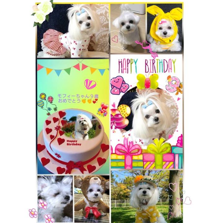 28478dd9 1ced 4f0e 9a97 108ee33be21d 1528478882036