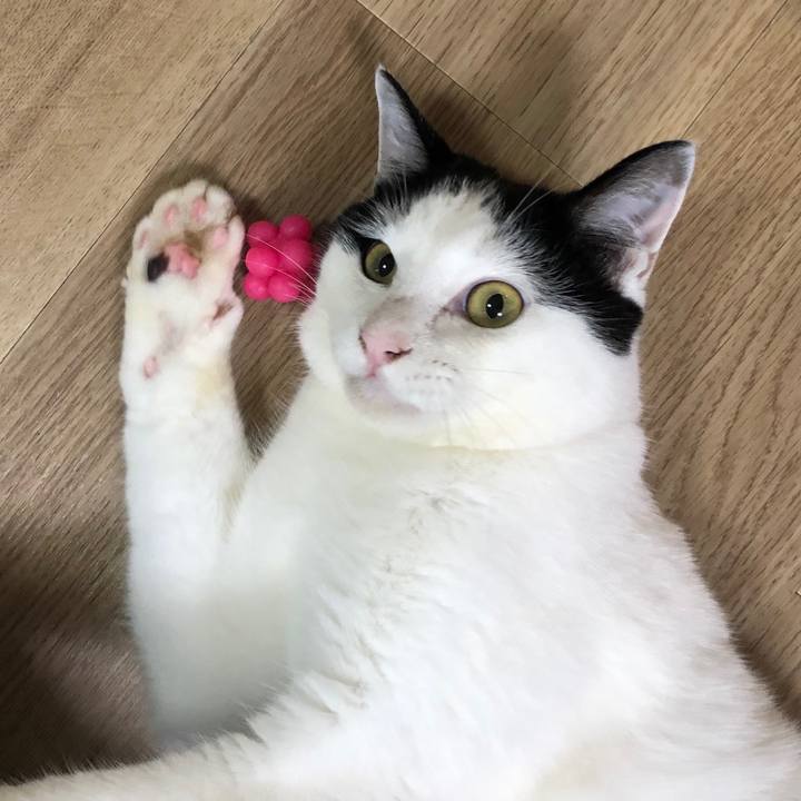 28479af2 d9bd 4569 912d 711636bfa683 1562027229068