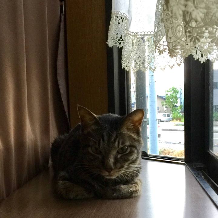 2847d274 50e0 49f5 a807 c35c61b473f9 1533503996918