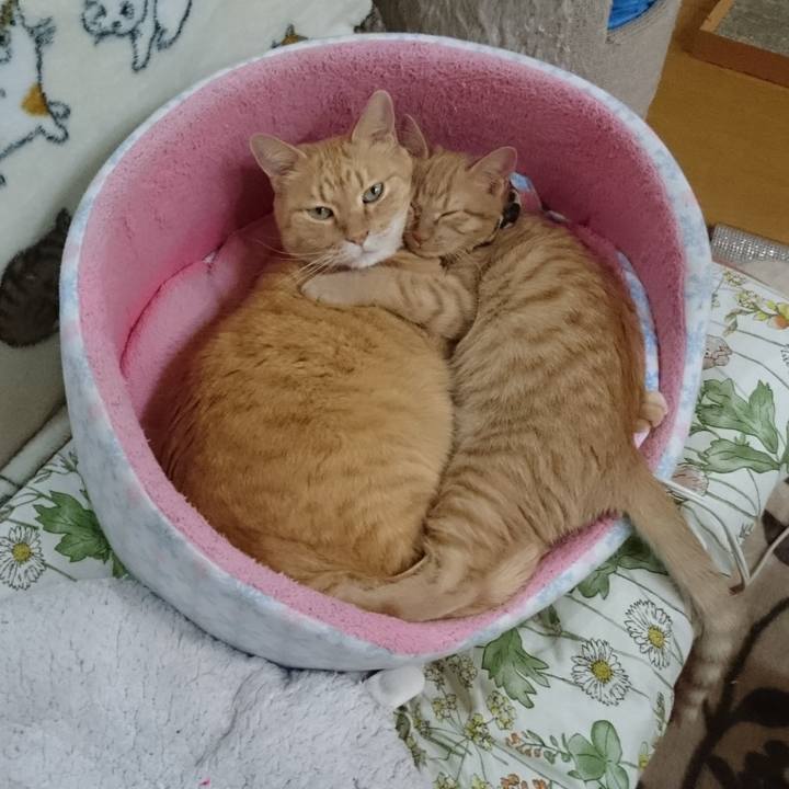 2847f28a fa19 466d b6f7 952ca2064b23 1731822389148