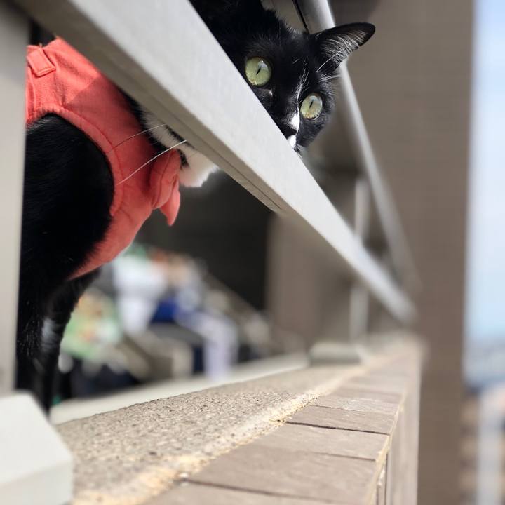 28481eb1 463d 41d0 9e4e a11c617e9b69 1555298248372