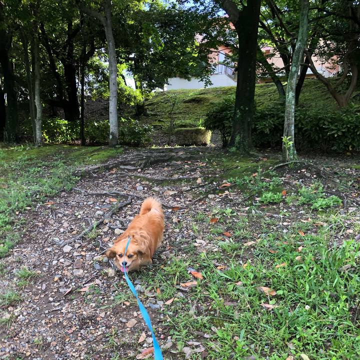 284845f0 1ca6 4a7e a92b 44bba164bc3b 1560637695179