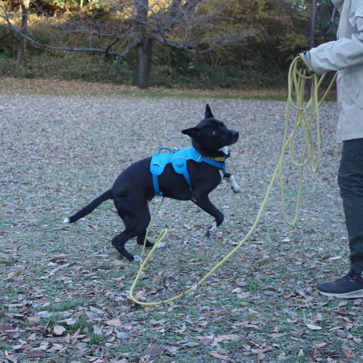 284847c7 827d 494b 845b 3f491157e39d 1608167211889