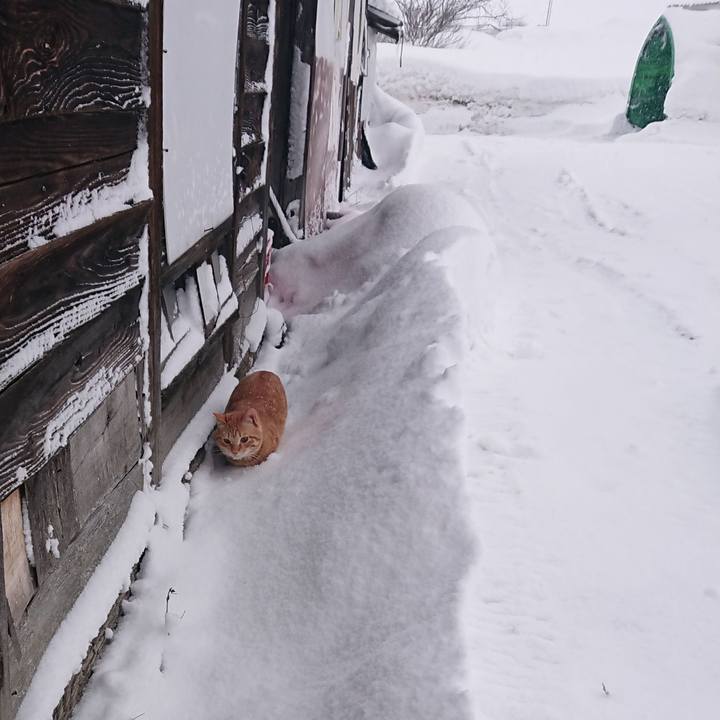 28484ced d30b 49d8 8bee fda6a299d21c 1644099630701