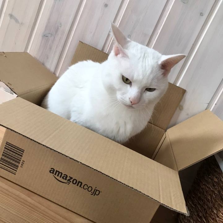 284858f1 8a4c 4a8a b150 9e54eb15999f 1588510995762