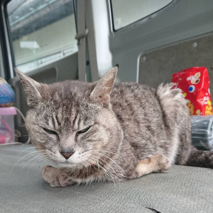 2848946c 938e 4364 8d55 321bc28c07db 1591866726265