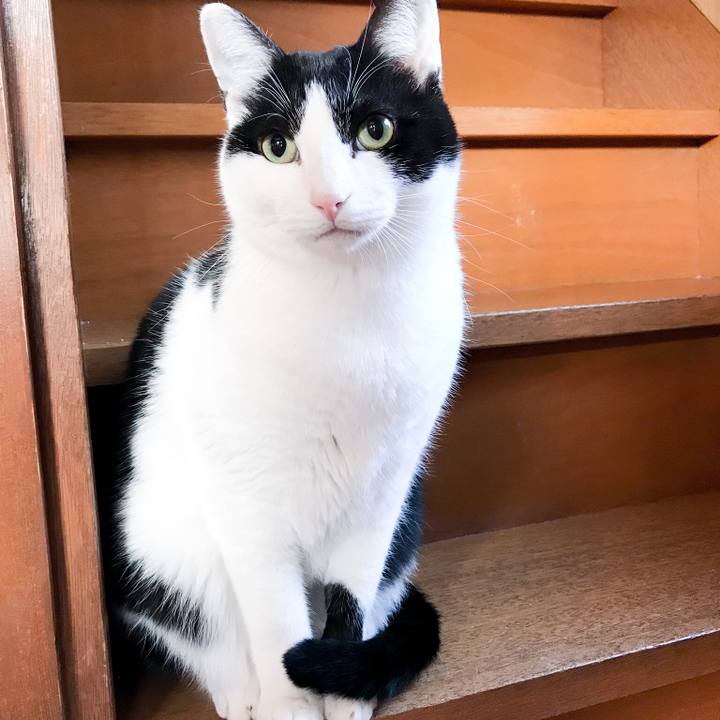 28489a49 1341 41f7 95ab 6df35a3663ba 1520299417888