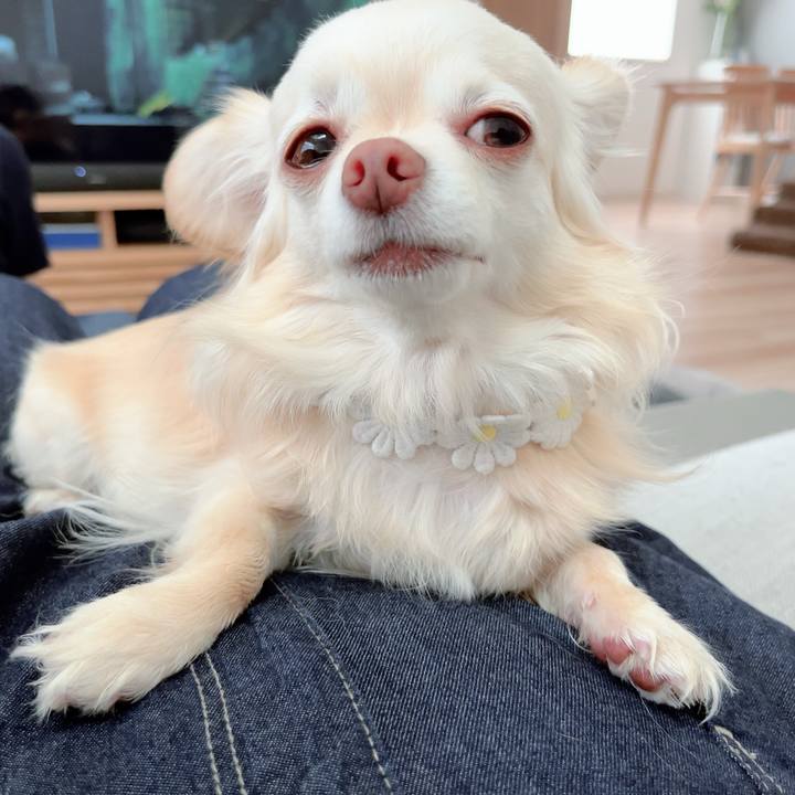 2848a304 6688 4dad adb0 de7b26855c76 1713702309938