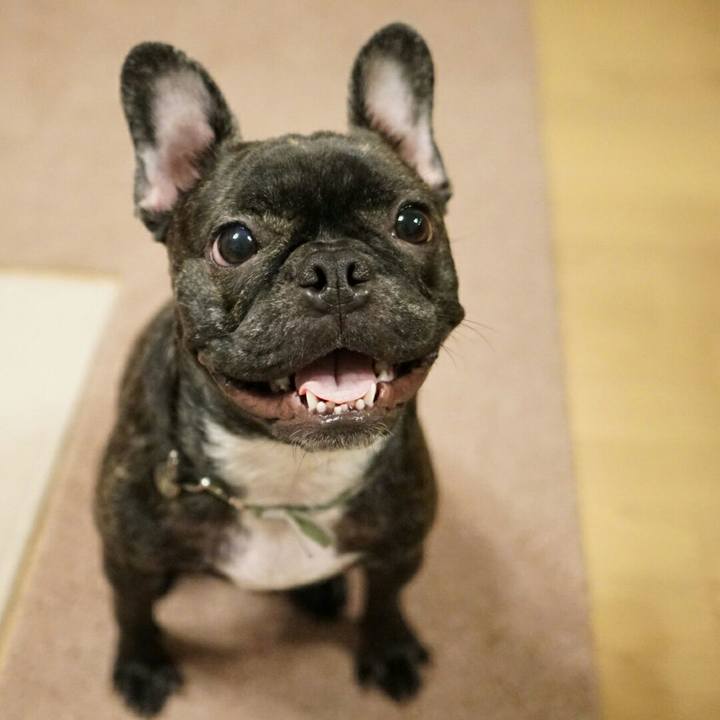 2848b866 7615 463f ab57 ce0a25b3381e 1508159223146