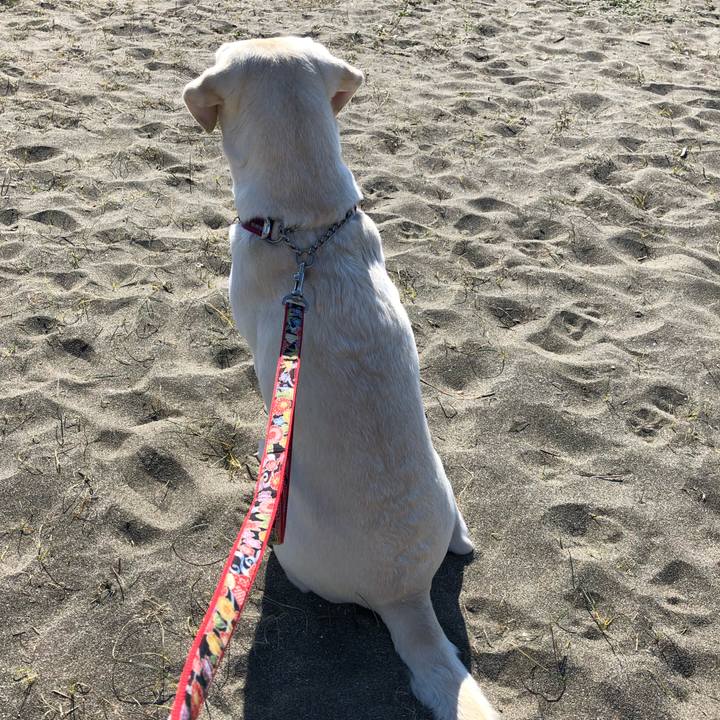 2848bb6e 1e01 4a35 a595 2554322daa61 1581547414549