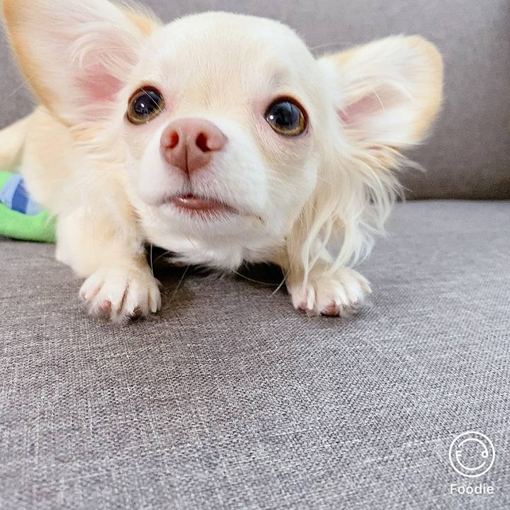 2848d776 1aeb 4a10 a5dc 7ac2040d8cc1 1603799694549