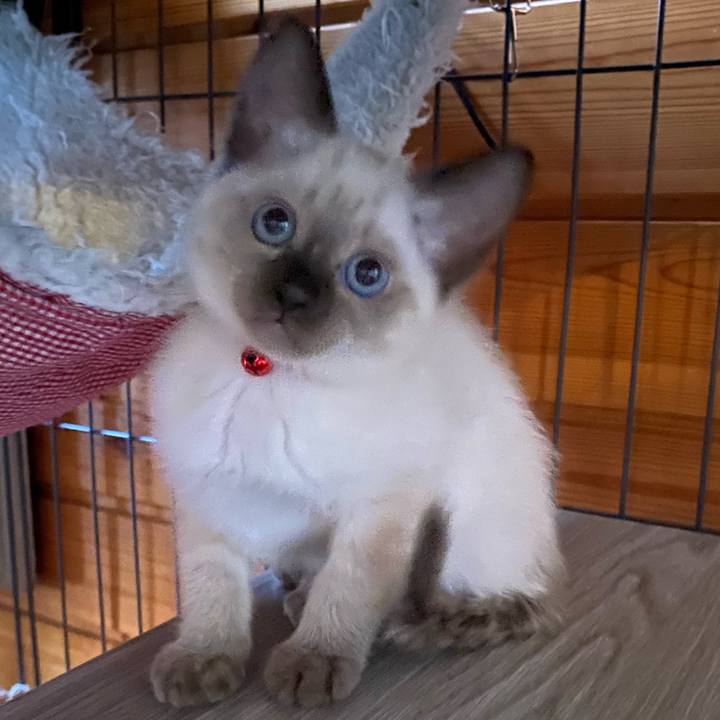 28492b64 e18e 4469 83ae b6a9ea1563e4 1747098914203