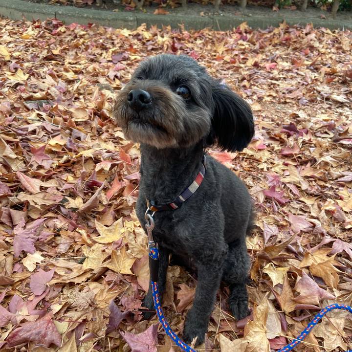 284945d9 ae62 424e b6d2 0317b85d5df9 1606002846741