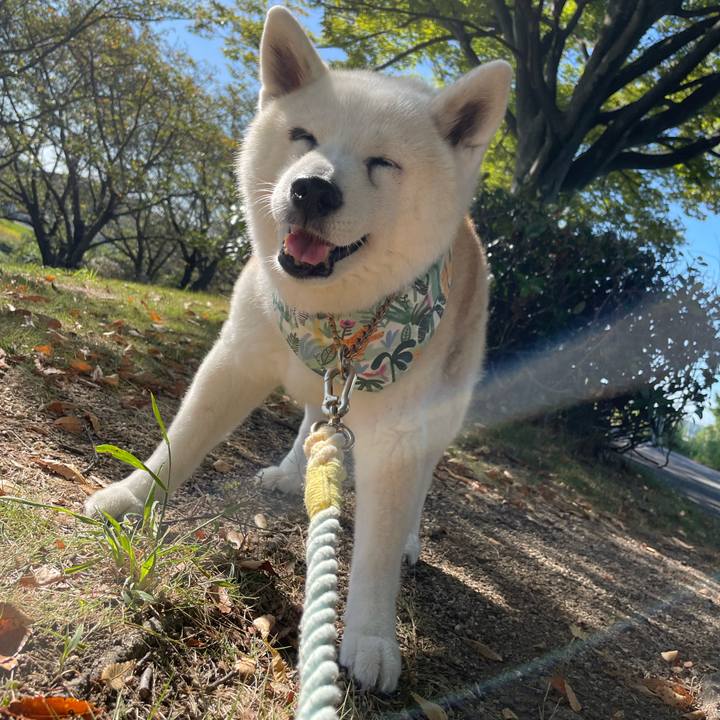 28494b35 531f 4dbe 9dea b693391452e9 1728219202044