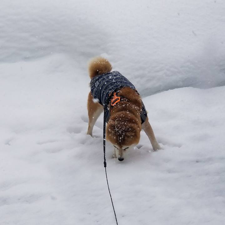 2849807f 31e7 4ab5 b45a 2cbd38eb09d5 1642411904779