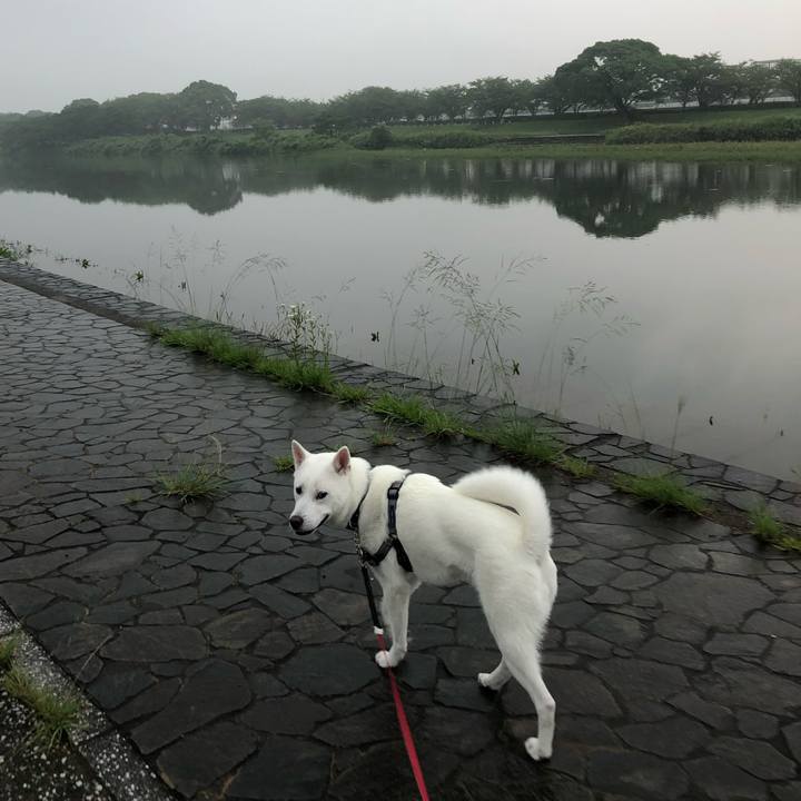 28499d9e c314 464b 9ed4 bc29093aca8e 1562220627594