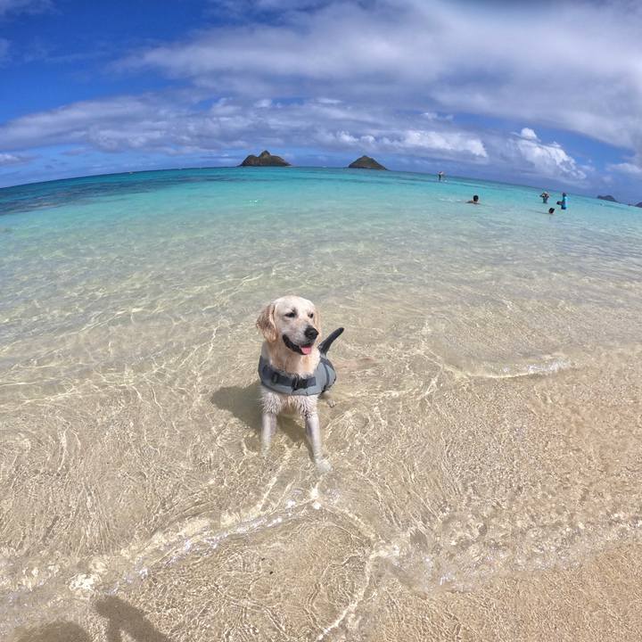 2849a8b1 37ec 422d b436 7136fedf6273 1552620853990