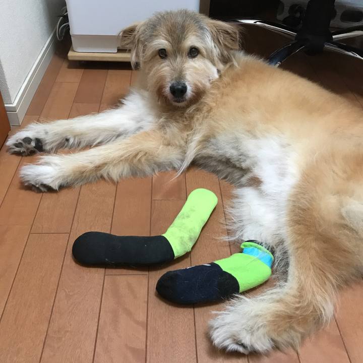 2849c1f2 12b2 4510 a4e1 834d1e36289b 1662601358221