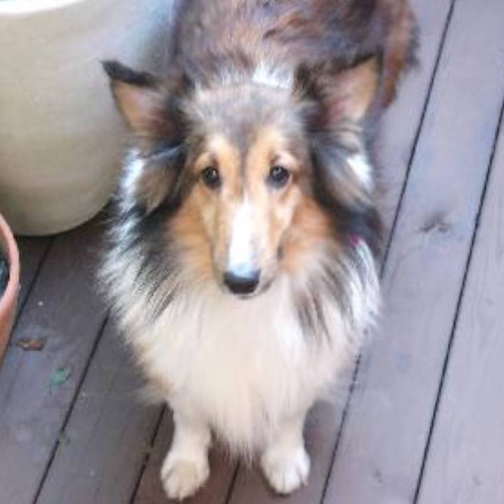 2849d364 2fd4 487e be34 2b647cd04450 1534949595153