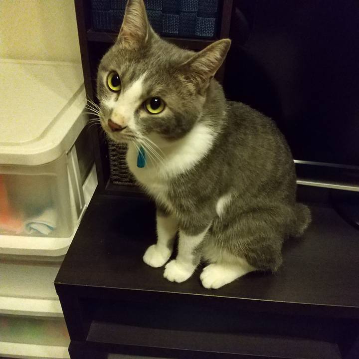 2849f968 3aeb 454b 85fd 52c753f05550 1599917331449