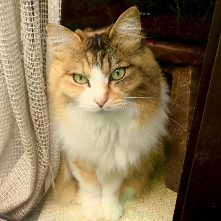 284a287e d8bc 459c 99fe 6942afee1b09 1560913986223