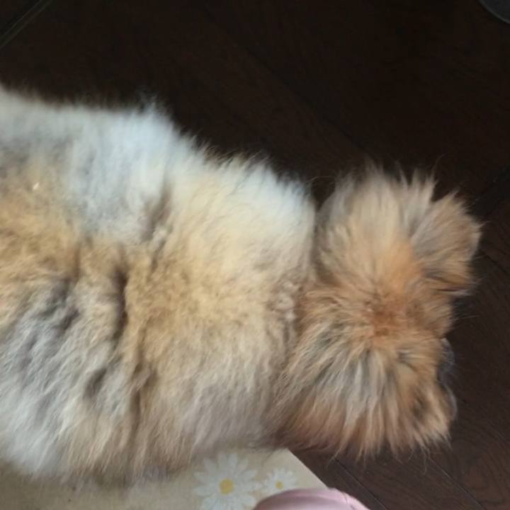 284a3c6f 0da8 4eba 9597 1b835d474f6a 1565687352739