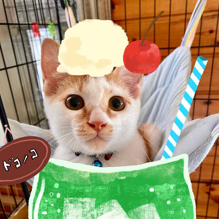 284a3cba 99af 4c5a 9150 e689a219f608 1755128112854