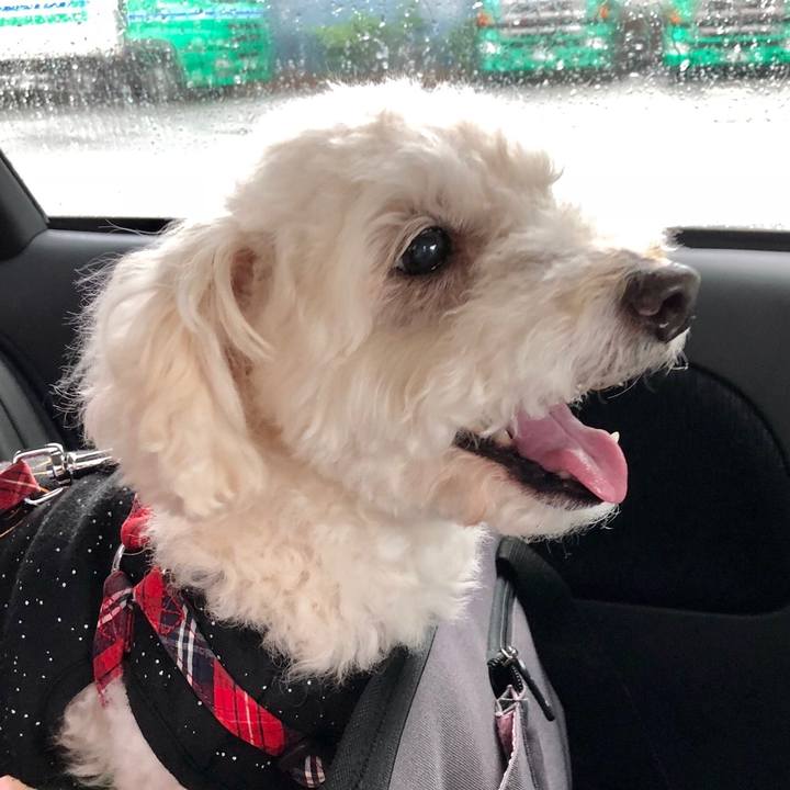 284a456a 40a7 4f0e b854 4b2cc120e06e 1528723687276