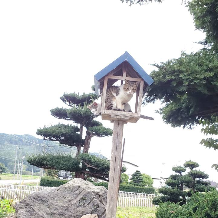 284a48fa 0f95 4c91 9784 359a074aa855 1695762737169