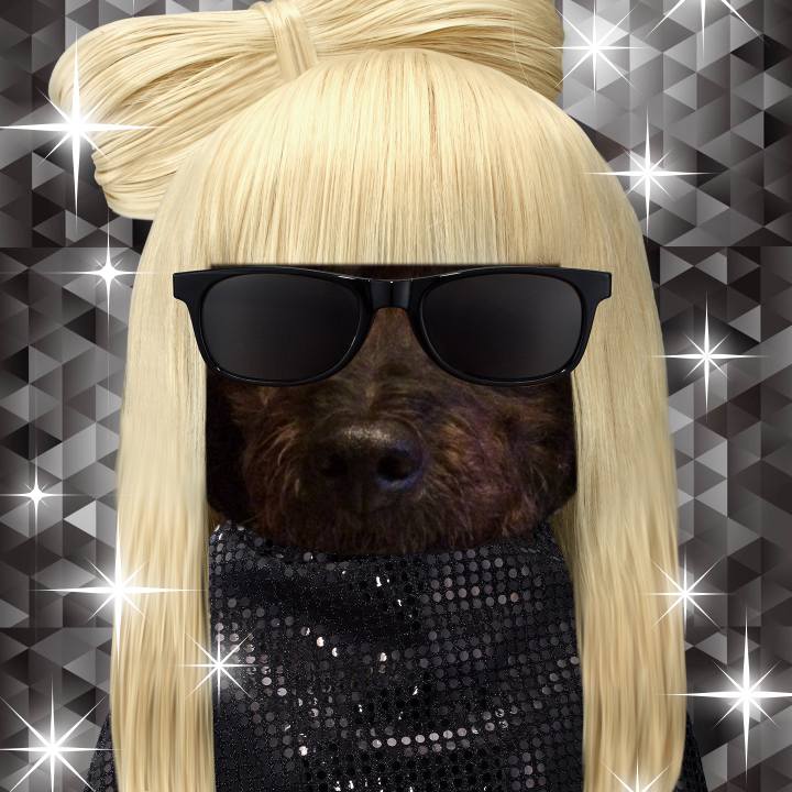 284a5510 92af 4663 b971 14856f7424d0 1509110971644