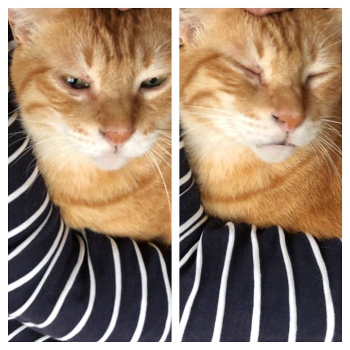 284a746d b7df 473c a407 f54331ba1a2a 1661981240427