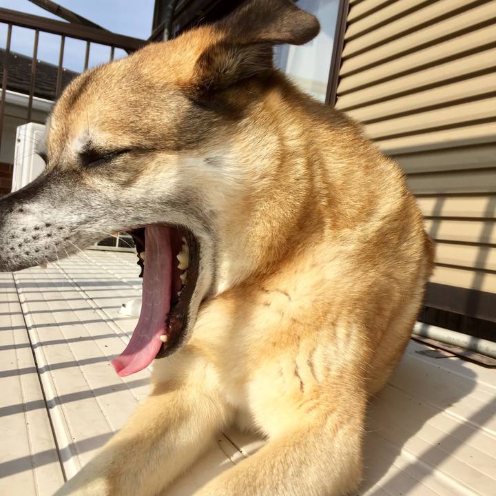 284aabdd d6bc 4552 a1a0 23faa1c89294 1577440422307