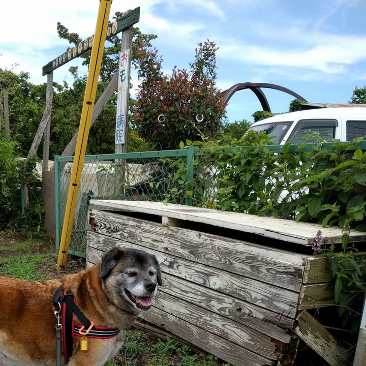 284ad892 daf5 4af2 8991 c1f52f44731b 1528848640914