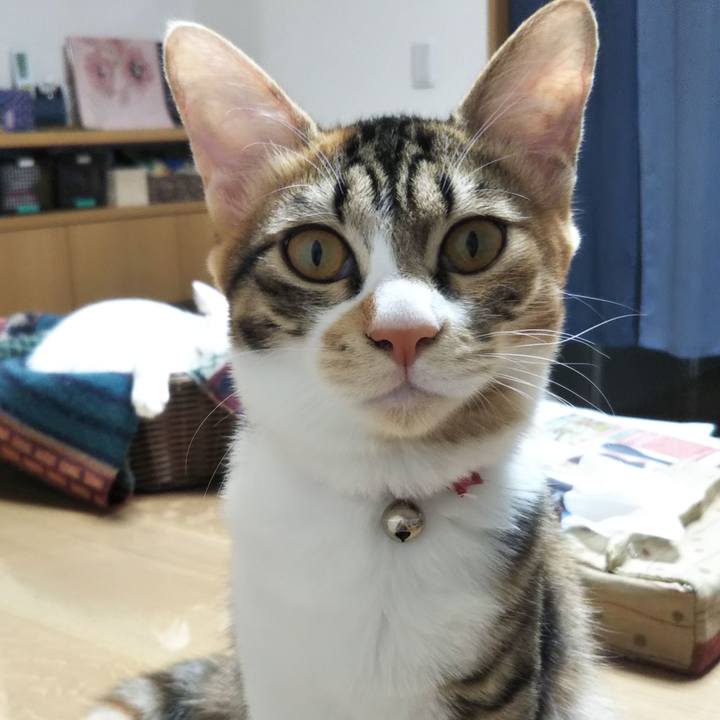 284afd5c 806e 4182 af97 2248eb89a509 1636095705949