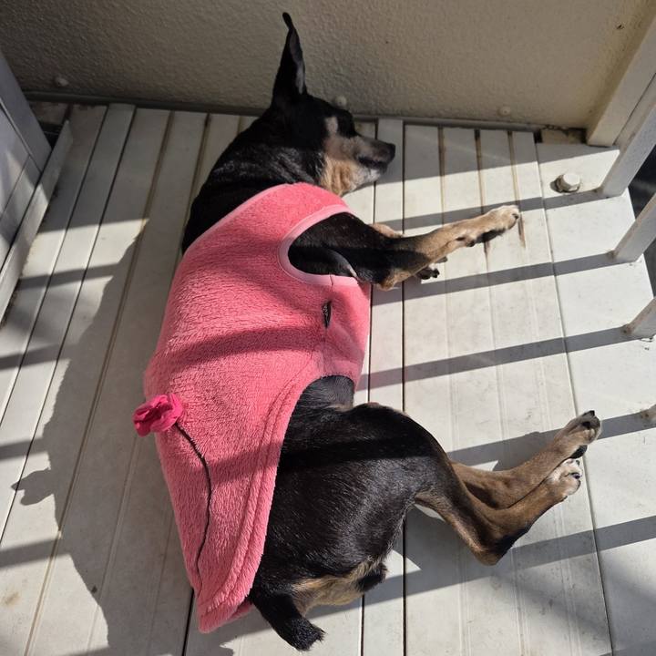 284b0424 9d5d 41d3 be48 6da68d7ecc77 1771733637075