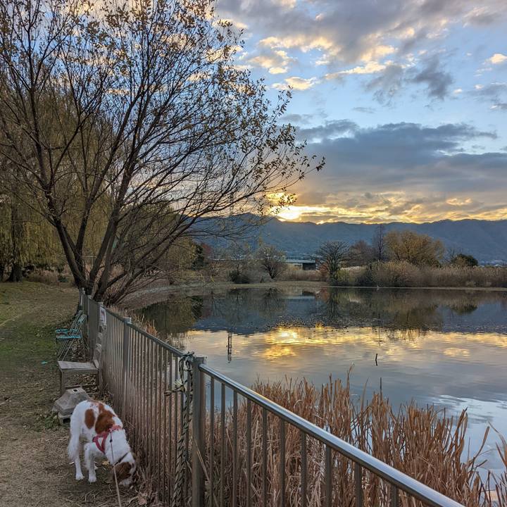 284b21dc c98f 4e77 b318 ae1d63cd2611 1639958309295